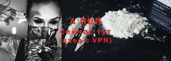 индика Бронницы