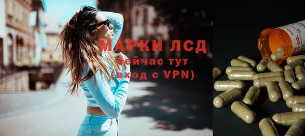 индика Бронницы