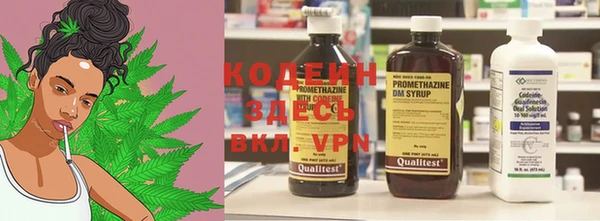 индика Бронницы