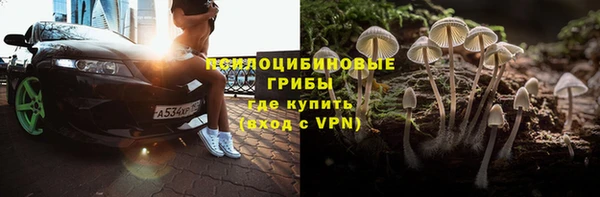 индика Бронницы