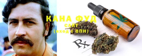 индика Бронницы