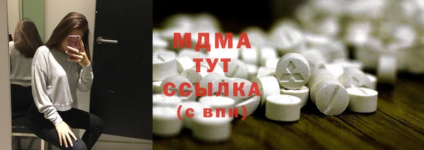 индика Бронницы