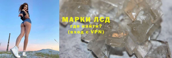 индика Бронницы