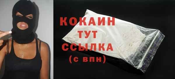 индика Бронницы