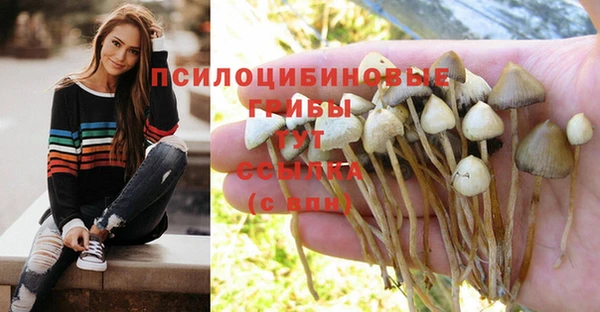 первитин Бородино