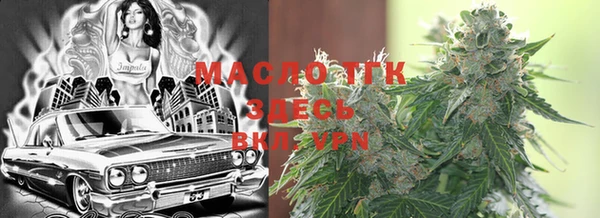 индика Бронницы