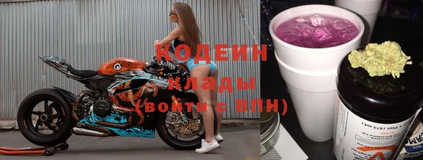индика Бронницы