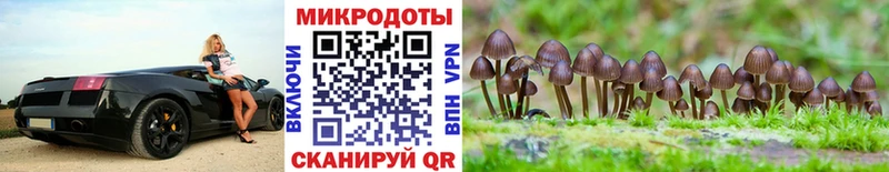 Купить  Краснотурьинск  Псилоцибиновые грибы ЛСД 